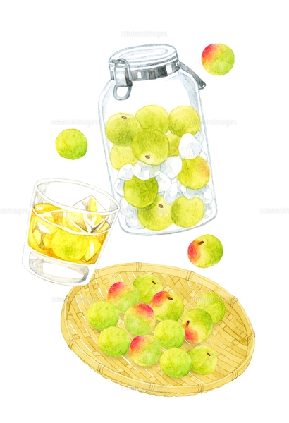 【好きなものに囲まれて居酒屋bar-グラスアート　イラスト　水彩画　原画 好きなものに囲まれて居酒屋bar-グラスアート イラスト 水彩画 原画
