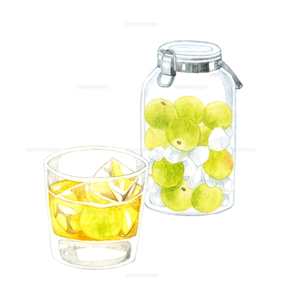 好きなものに囲まれて居酒屋bar-グラスアート イラスト 水彩画 原画