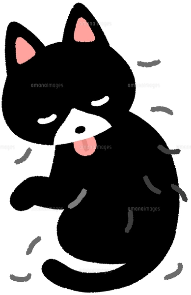 猫　毛づくろい 自分大好き！鏡に映った自分に毛づくろいをしてあげる黒猫さん｜ねこナビ