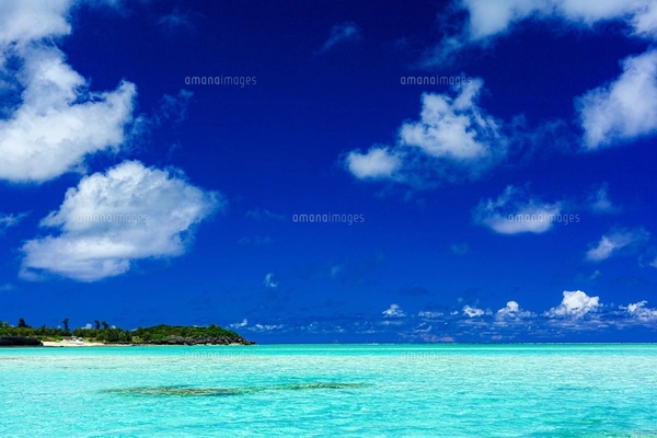 自然風景 海セレクト ビーチの写真・イラスト素材一覧(10,017件