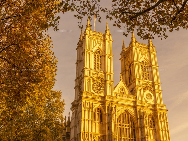 タワー・ブリッジ 7月 ロンドン イギリスの写真素材 [FYI03978684