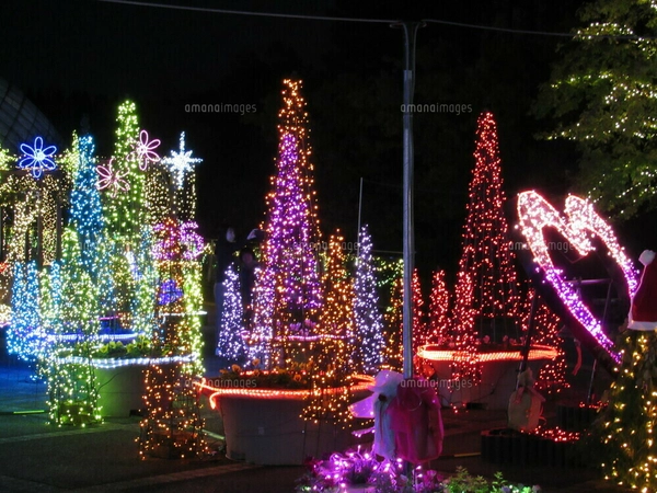 クリスマスツリーとライトアップされた大観覧車の写真素材