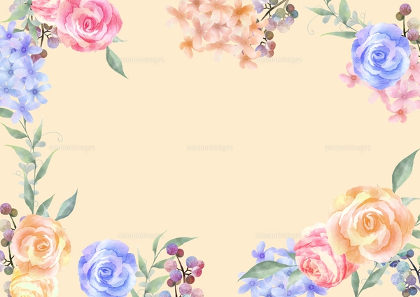 水彩のピンクの薔薇の背景 四角フレーム付きのイラスト素材