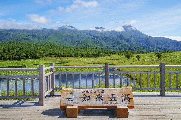 赤い屋根のある丘 美瑛の写真素材 [FYI04743460] | ストックフォトの