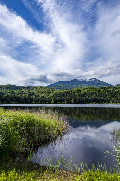 利尻島 オタトマリ沼から望む利尻山の写真素材 [FYI08148632