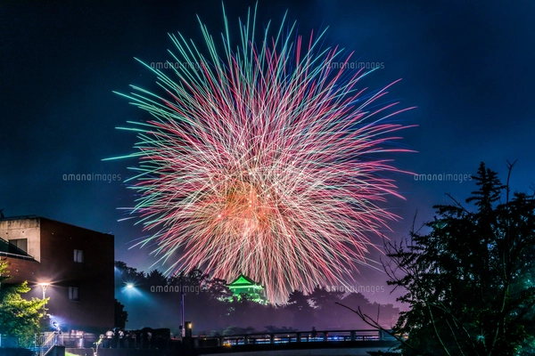 大洲川まつり花火大会の写真素材 [FYI04063957] | ストック