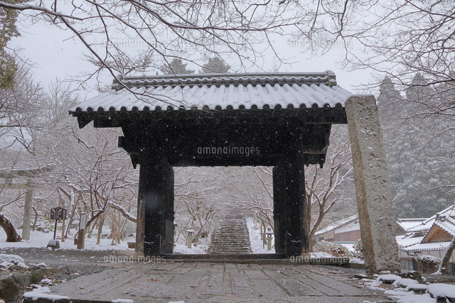 福岡県朝倉市秋月・秋月城址の雪景色の写真素材 [FYI08192724