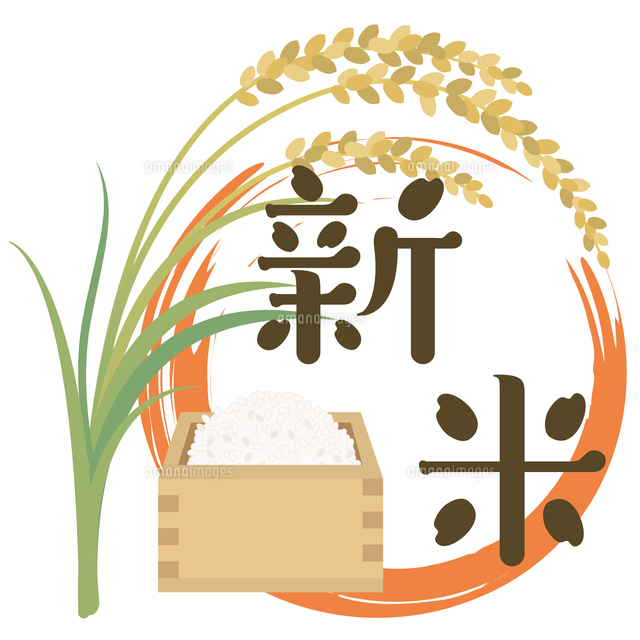 稲穂と升に入ったお米 新米のロゴのイラスト素材 [FYI08219442