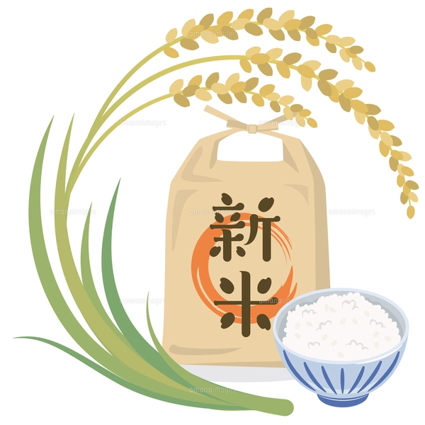 お米 稲のイラスト入りパッケージ 稲穂と升に入ったお米と米袋のイラスト素材 [FYI08219445] | ストック