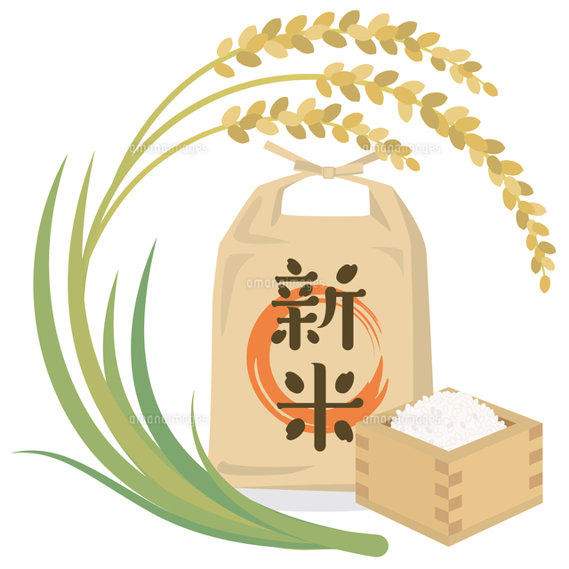 稲穂と升に入ったお米と米袋のイラスト素材 [FYI08219445] | ストック
