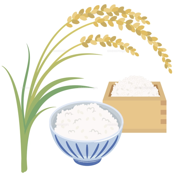 稲穂と升に入ったお米と米袋のイラスト素材 [FYI08219445] | ストック