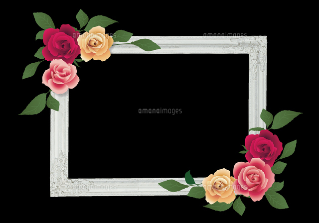 バラの木製フレーム（ピンク系）のイラスト素材 [FYI08225061