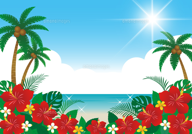 ハイビスカスとヤシの木（背景）のイラスト素材 [FYI08227503 