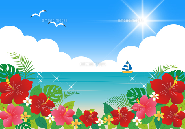 ハイビスカスと海（背景）のイラスト素材 [FYI08227507] | ストック