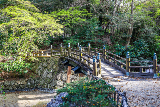 浜松城公園日本庭園木の太鼓橋の写真素材 [FYI08246261] | ストック
