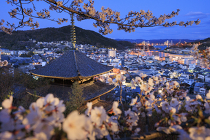 桜咲く天寧寺と尾道市街の夜景の写真素材 [FYI08259313] | ストック