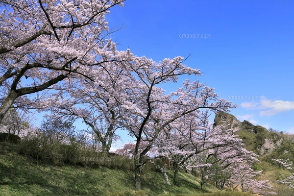 湖 風景の写真素材 [FYI03153105] | ストックフォトの Qlean