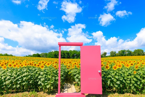「どこでもドア」でお花畑にやって来た！ 宮城県のどこでもドアを見てきました。 - あジャイの毎日ドラえもん
