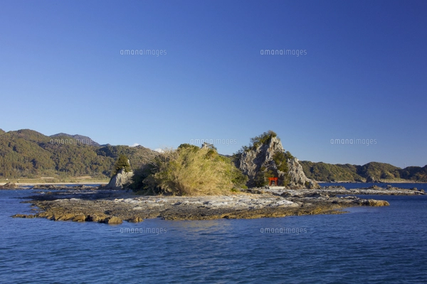 水上マーケット_タイ_バンコクの写真素材 [FYI08362129] | ストック