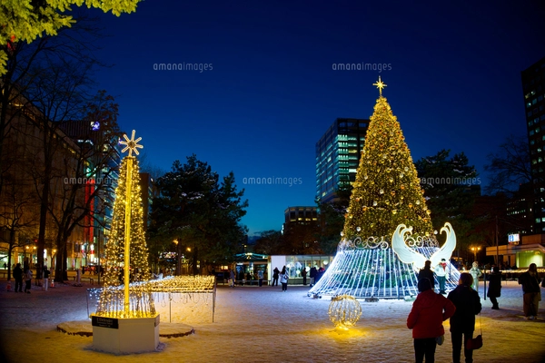 ポインセチアとクリスマスイルミネーションの写真素材 [FYI02497988