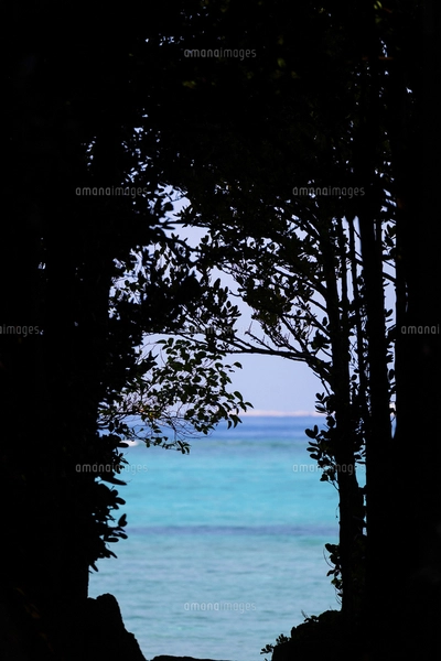 海へと続く道の写真素材 [FYI08379648] | ストックフォトの Qlean