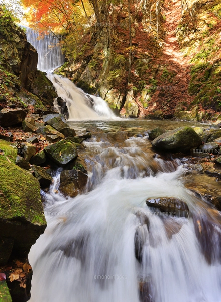 天竜川の写真素材 [FYI03114891] | ストックフォトの Qlean Market