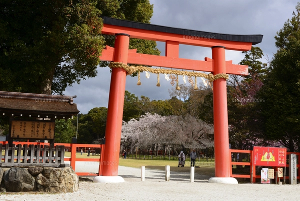石の鳥居に飾られた根道神社のしめ縄の写真素材 [FYI03240966