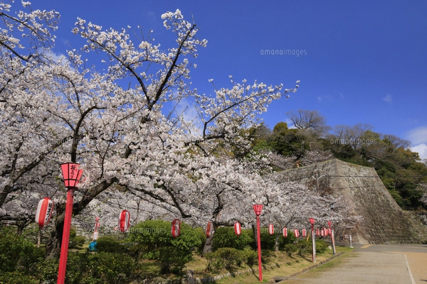 シロツメクサの花畑の風景 水彩イラストのイラスト素材 [FYI04745827