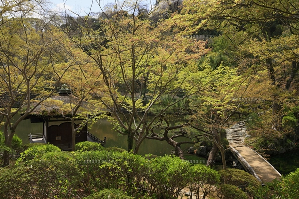 宮古島／伝統民家／赤瓦屋根の写真素材 [FYI00376200] | ストック